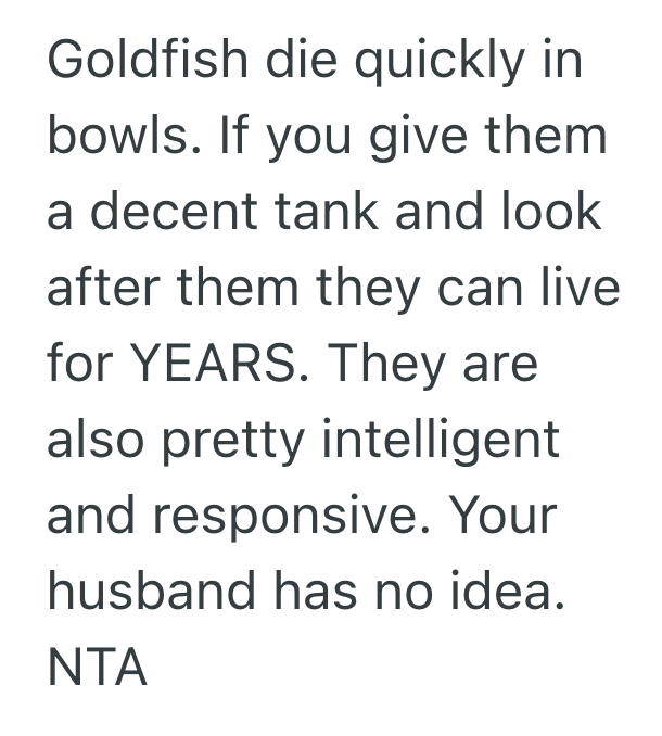 Screenshot 2025 06 13 at 12.37.02 AM Kids Were Excited About Their New Goldfish, But Their Dad Claimed It Would Die and Replaced It With A Betta Fish